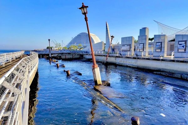 🕊️ 고베항 지진 메모리얼 파크 이미지 7
